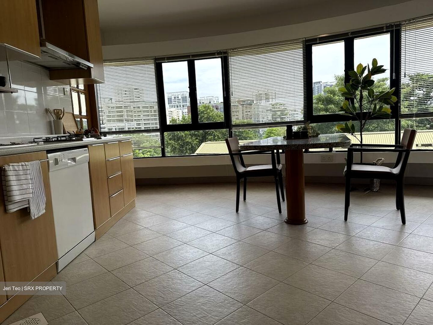 The Draycott (D10), Apartment #504755691